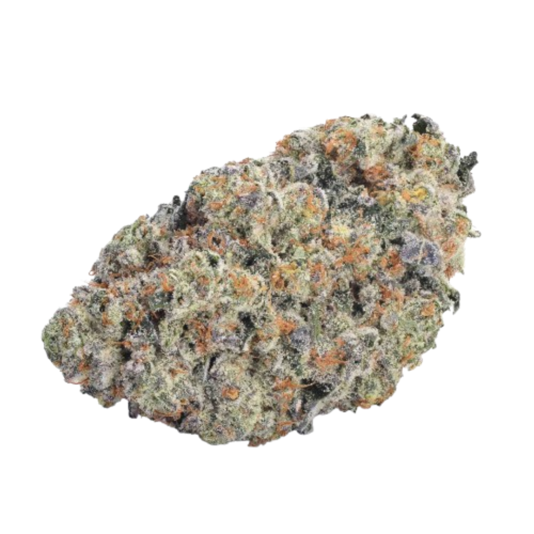 Feminisierter Sämling Double Donny Brugers by Growers Choice Buds Spektakuläre US-Gourmet-Genetik aus der Fusion von GMO und Han Solo Burger