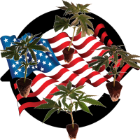 Sortenmischung US-Kali Genetiken (Bild für) Sortenmischung US-Kali Genetiken